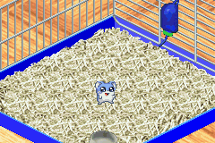 Hamster Monogatari 2 GBA (Japan) Cover